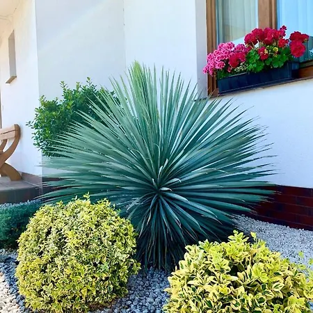 Zagaje Goscinne 3* Sarbinowo