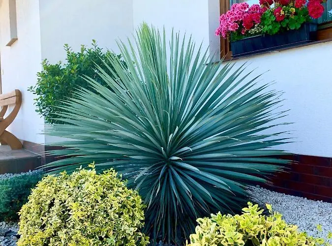 Zagaje Goscinne 3* Сарбиново